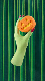 Punkin Pumpkin - US 7261
