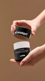 No Drought - US 1219