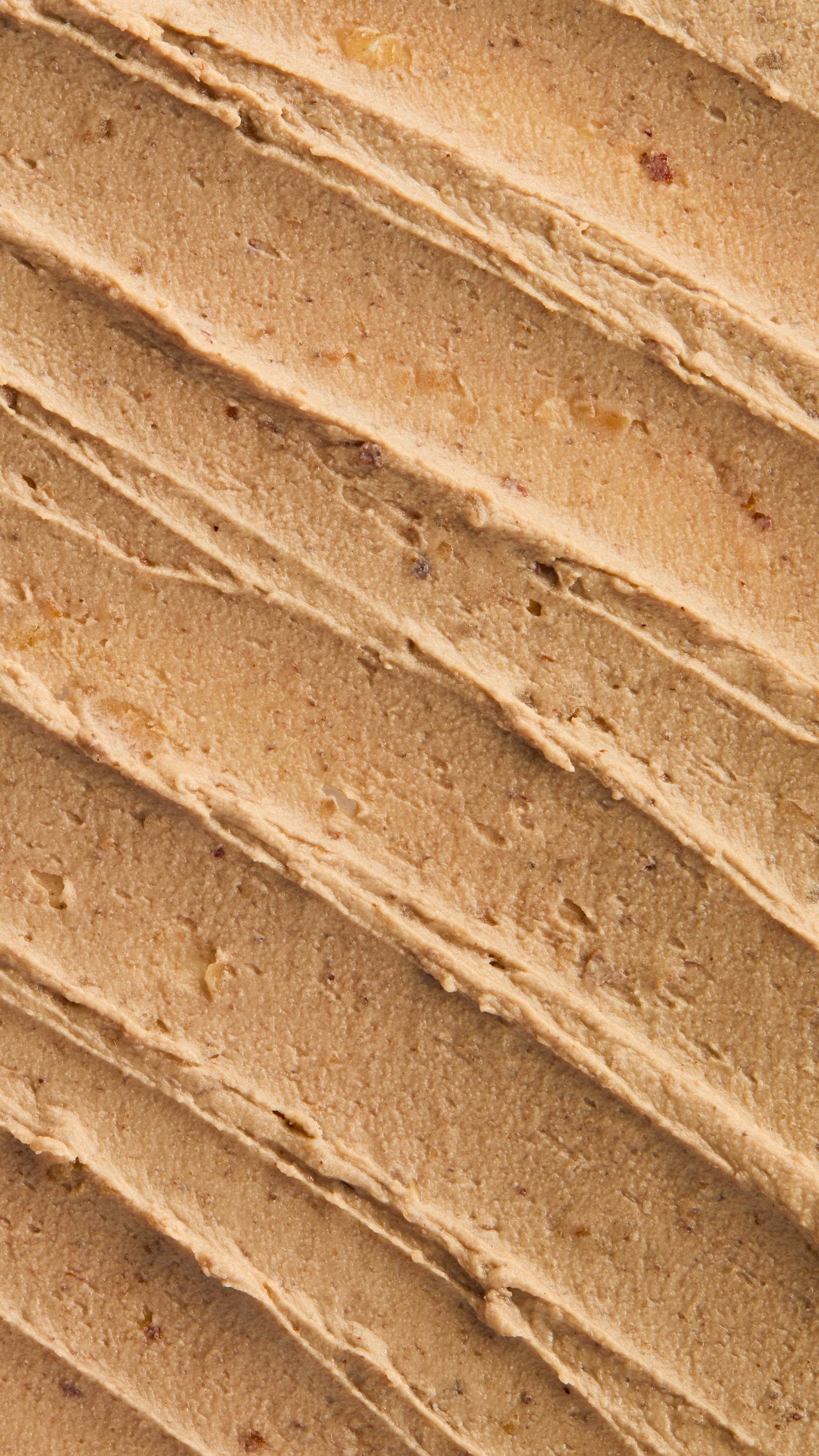 Nutkins - US 2678