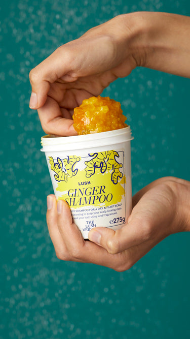 Ginger - US 4103