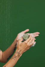 Squeaky Green - US 6663
