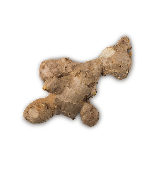 Ginger - US 4693