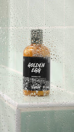Golden Egg - US 4061